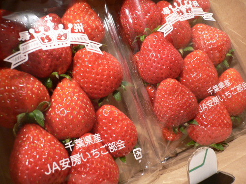 fragole da chiba.JPG